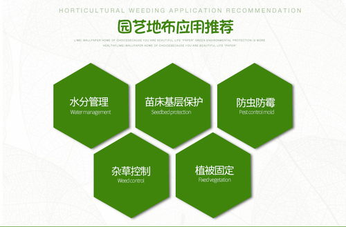 四川厂家8米宽黑地布艺地布 户外园林与果园的防草透水解决方案