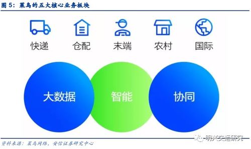 菜鸟网络 不止是快递，更是企业网络技术服务的领航者